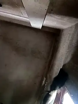 Snapshot of NICK_IN chatting on 10.30.25 NICK IN online show from 10.30.25