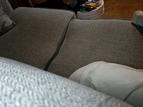 Frankdick01 online show from 05.07.26
