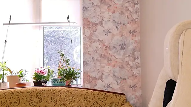 showmeparadise online show from 02.27.26