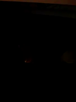 coppiapazza online show from 12.18.25