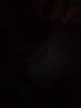 Snapshot of Work4Crypto chatting on 03.21.26 Work4Crypto online show from 03.21.26