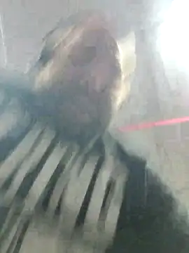 Strong Bear89 online show from 12.02.24