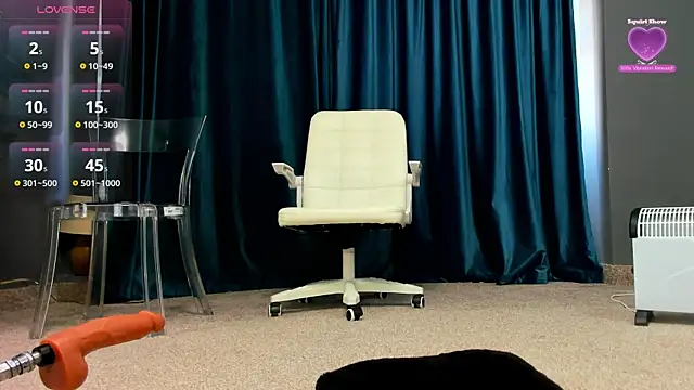 Snapshot of LaurynCopper chatting on 11.03.25 LaurynCopper online show from 11.03.25