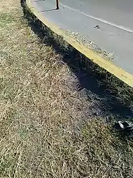 Alysson-- online show from 01.20.25