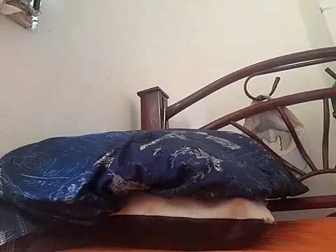  afrodita sex online show from 02.10.25