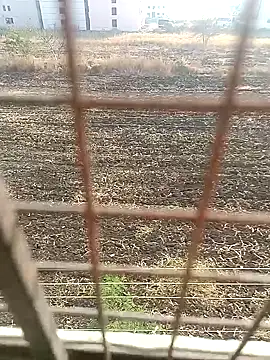 Snapshot of 1010SumiT chatting on 01.27.25 1010SumiT online show from 01.27.25