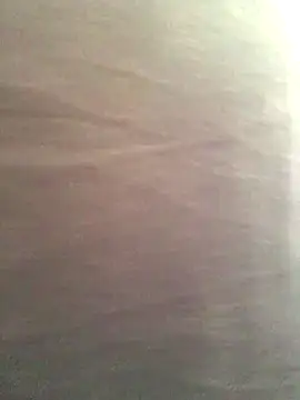 Miss oliviaa online show from 11.13.25