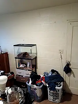 TickleMeKink online show from 09.18.25