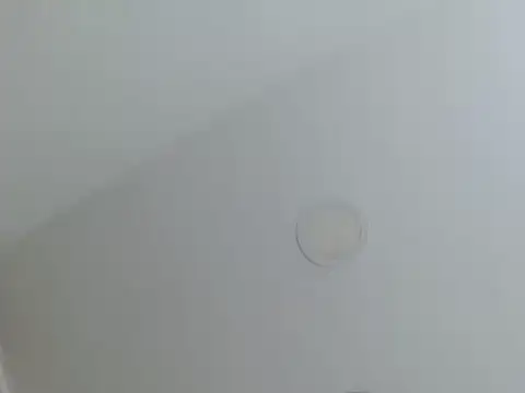 Snapshot of milfevha chatting on 02.26.26 milfevha online show from 02.26.26