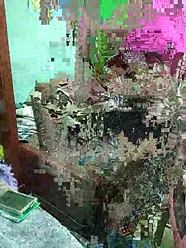 Snapshot of ShelfyOfferer chatting on 05.29.26 ShelfyOfferer online show from 05.29.26