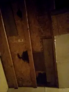 Snapshot of beliqi chatting on 12.15.24 beliqi online show from 12.15.24