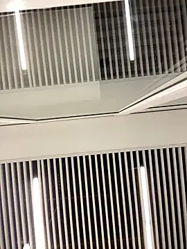 Snapshot of SuzieMurray chatting on 02.12.25 SuzieMurray online show from 02.12.25