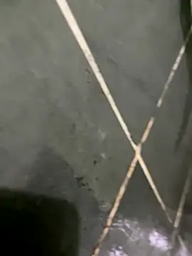 Snapshot of gzn01 chatting on 10.30.25 gzn01 online show from 10.30.25