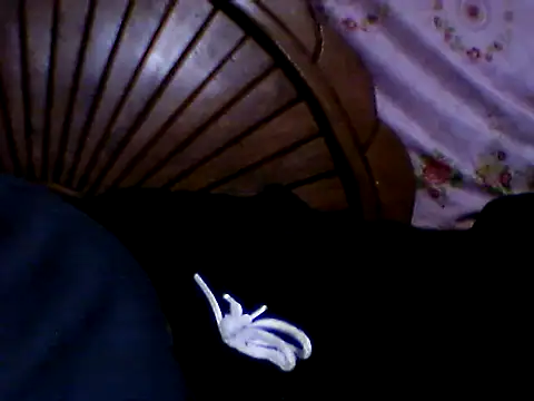 penesillo79 online show from 11.21.25