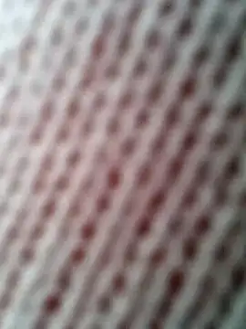 Gardener of Illusions online show from 10.31.25