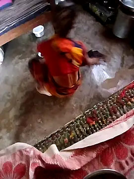 Snapshot of poojaji2024 chatting on 12.04.24 poojaji2024 online show from 12.04.24