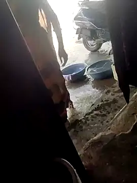 Snapshot of poojaji2024 chatting on 03.16.25 poojaji2024 online show from 03.16.25