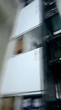 pedritolobito online show from 12.03.24