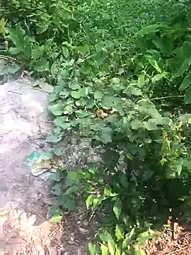 Snapshot of GapingConker chatting on 11.09.25 GapingConker online show from 11.09.25