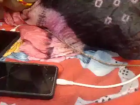 Snapshot of naina-80 chatting on 01.13.25 naina-80 online show from 01.13.25