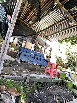 Jestebanano online show from 05.26.26