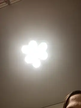 Janet Welder online show from 11.16.25