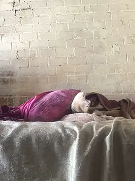 Sweet   Dick online show from 01.30.25