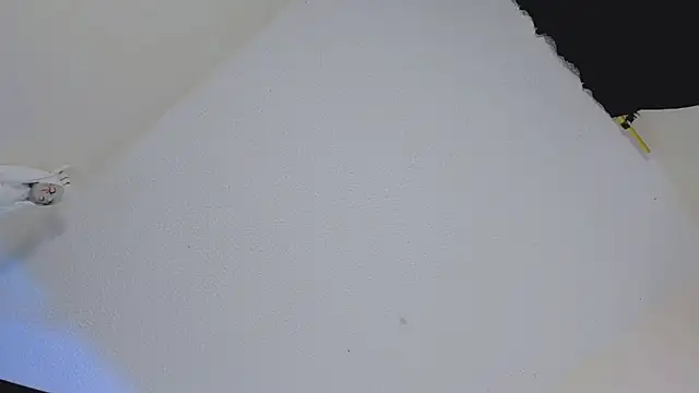 missycanoo online show from 10.22.25