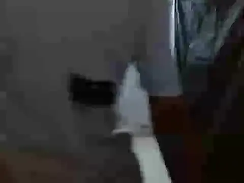 latino hotxxx online show from 10.20.25