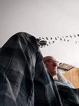 Snapshot of bogland33 chatting on 10.04.25 bogland33 online show from 10.04.25