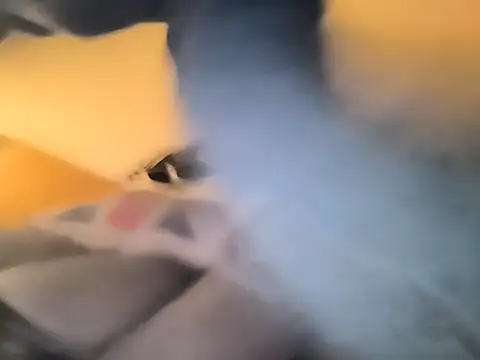 bogland33 online show from 02.21.26