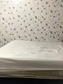 Snapshot of ahross chatting on 10.04.25 ahross online show from 10.04.25