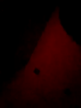 Mieto  online show from 04.17.26