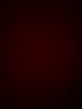 Snapshot of DINA-FOX chatting on 01.30.25 DINA-FOX online show from 01.30.25