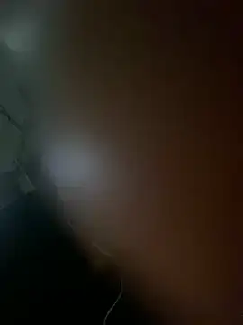 Snapshot of DINA-FOX chatting on 01.31.25 DINA-FOX online show from 01.31.25