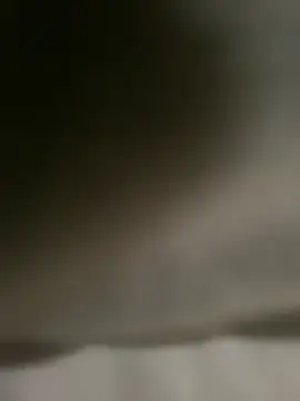 Snapshot of DINA-FOX chatting on 02.01.25 DINA-FOX online show from 02.01.25