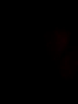 Snapshot of stevenp chatting on 11.02.25 stevenp online show from 11.02.25