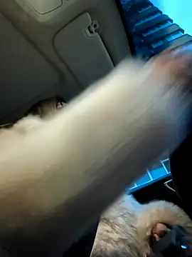 SukyGirl online show from 01.04.25