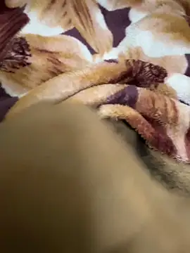 hamed-697 online show from 12.16.24