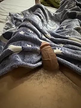 hamed-697 online show from 02.01.26