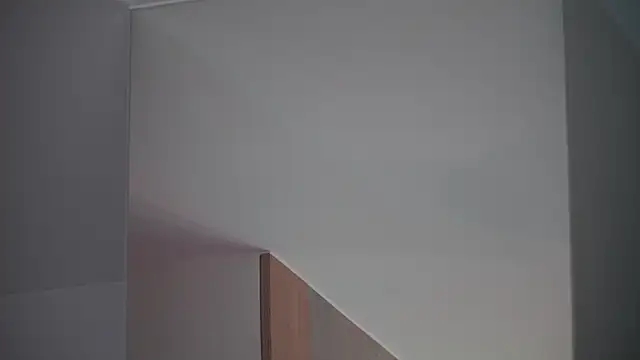 Snapshot of DreamSofia chatting on 03.15.25 DreamSofia online show from 03.15.25