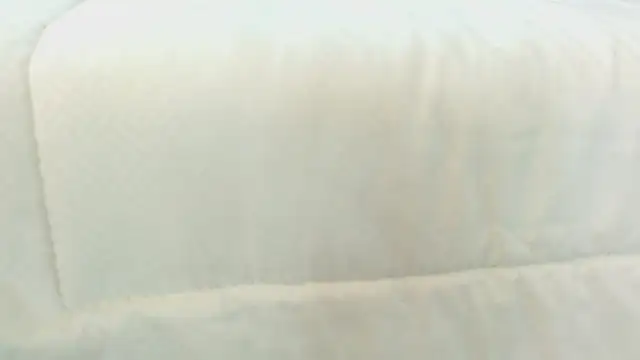 Mar gh online show from 12.16.24