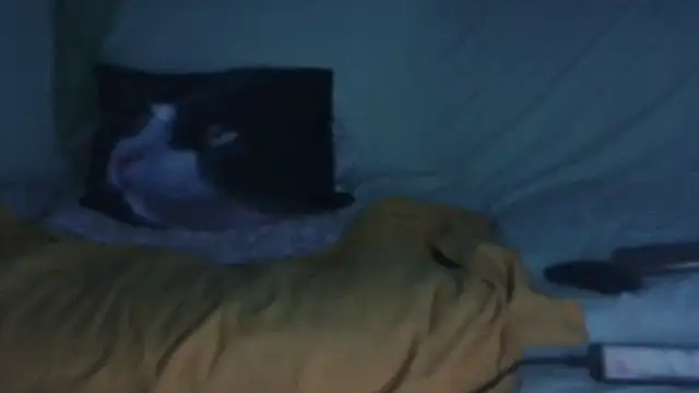 Snapshot of VeneRed chatting on 09.17.25 VeneRed online show from 09.17.25