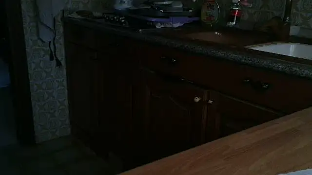 Snapshot of VeneRed chatting on 09.25.25 VeneRed online show from 09.25.25