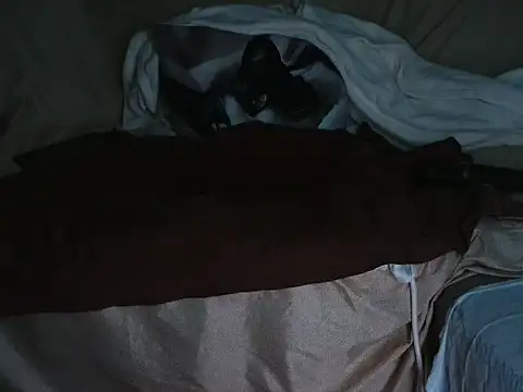 Snapshot of VeneRed chatting on 10.01.25 VeneRed online show from 10.01.25