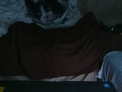 Snapshot of VeneRed chatting on 10.04.25 VeneRed online show from 10.04.25