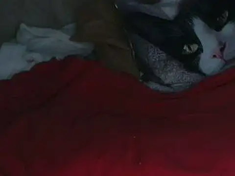 Snapshot of VeneRed chatting on 10.12.25 VeneRed online show from 10.12.25