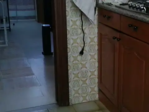 Snapshot of VeneRed chatting on 10.13.25 VeneRed online show from 10.13.25