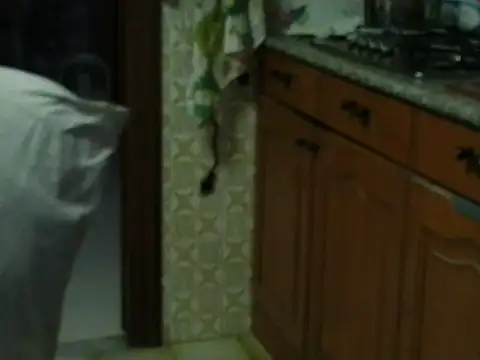 Snapshot of VeneRed chatting on 10.27.25 VeneRed online show from 10.27.25