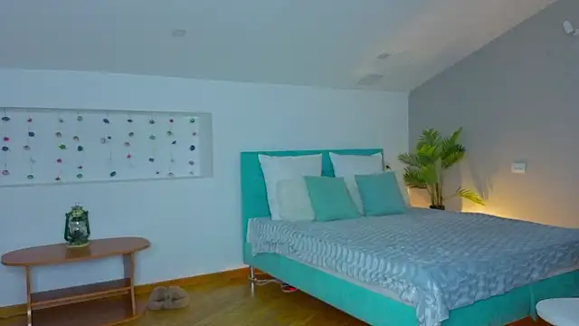 L1ittle kitty  online show from 02.24.26